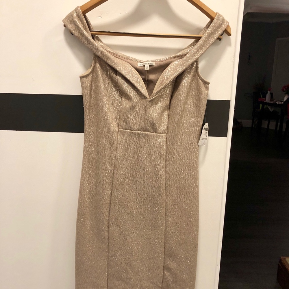 Sparkly cocktail dress